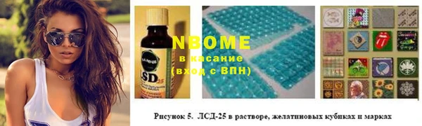 индика Балахна