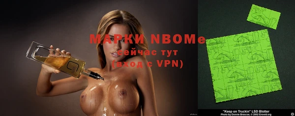 индика Балахна