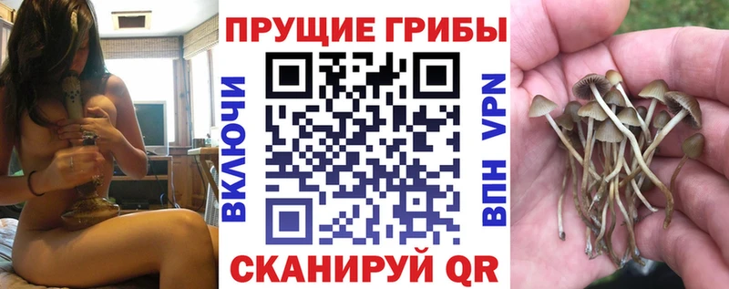 Псилоцибиновые грибы мухоморы  Чехов 
