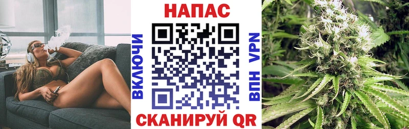 Шишки марихуана ГИДРОПОН  Чехов 